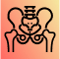 Symbol eines Beckens, das das MRT-Analysemodul für die Hüfte und umliegende Bereiche illustriert.