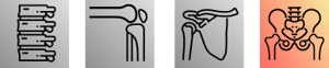 Hip