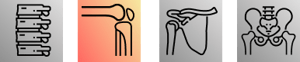 Knee