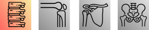 L-Spine