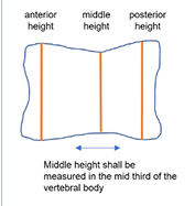 Rectangle 32 (1)