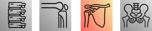 Shoulder